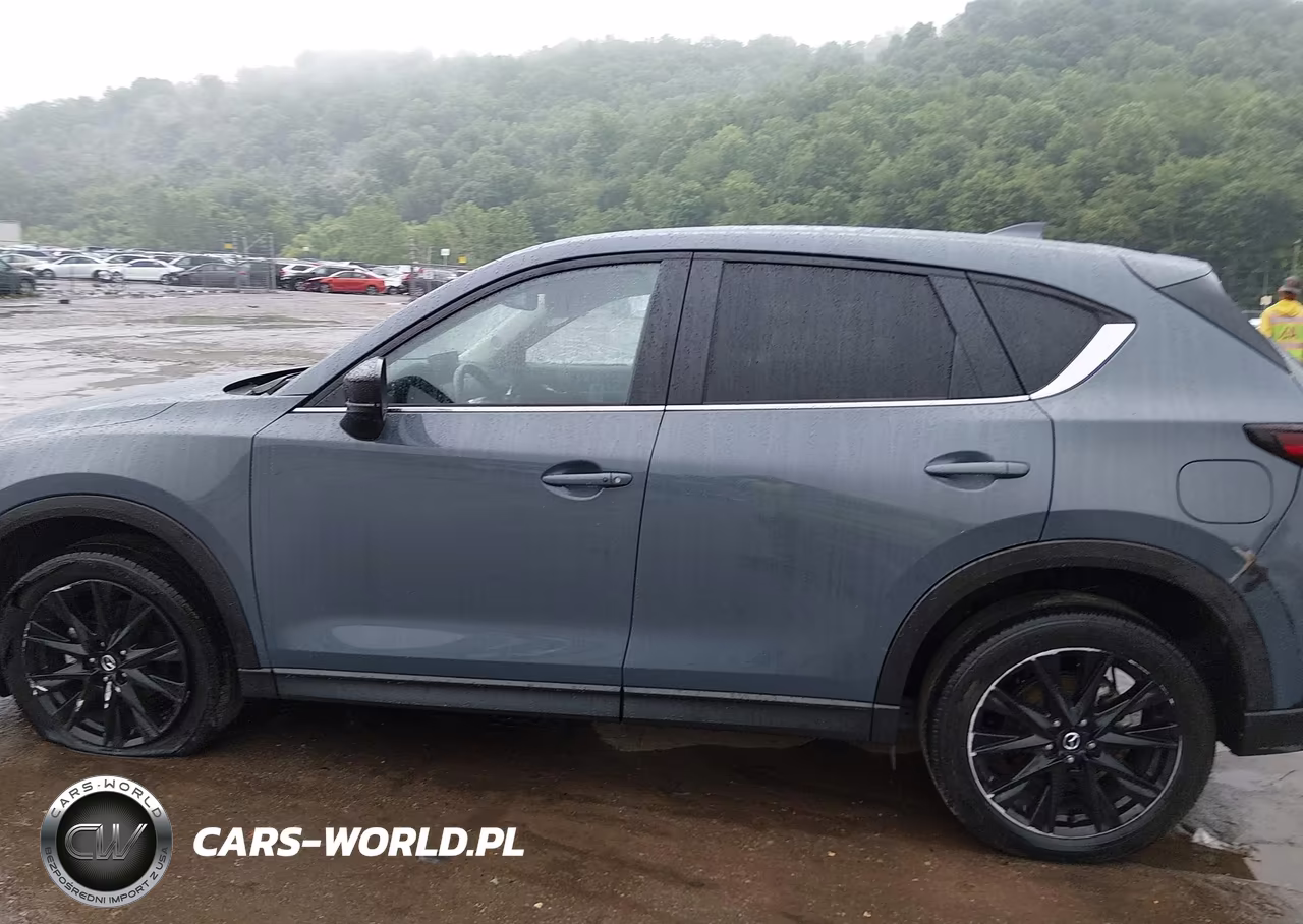 2023 Mazda Cx-5 2.5 S Carbon Edition VIN:JM3KFBCM5P0169353 - 14