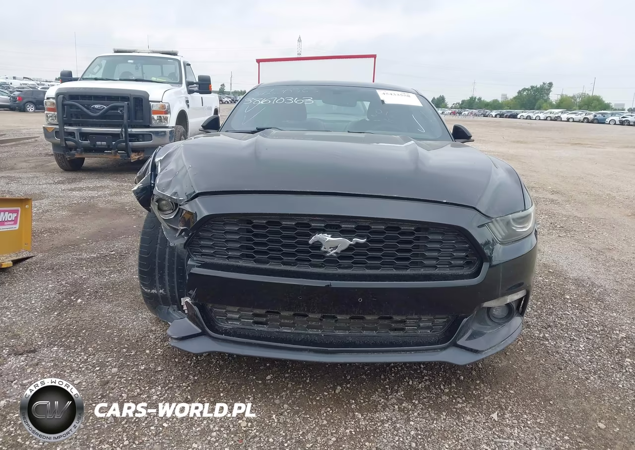 2016 Ford Mustang Ecoboost VIN:1FA6P8TH5G5267174 - 12