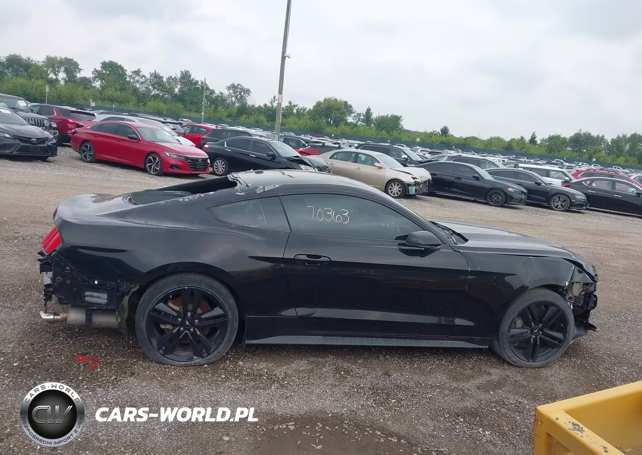 2016 Ford Mustang Ecoboost VIN:1FA6P8TH5G5267174 - 13