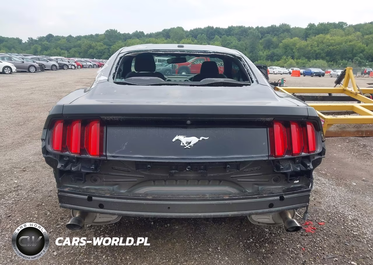 2016 Ford Mustang Ecoboost VIN:1FA6P8TH5G5267174 - 16
