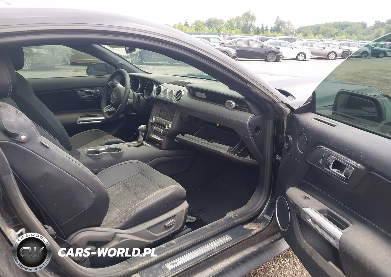 2016 Ford Mustang Ecoboost VIN:1FA6P8TH5G5267174 - 5