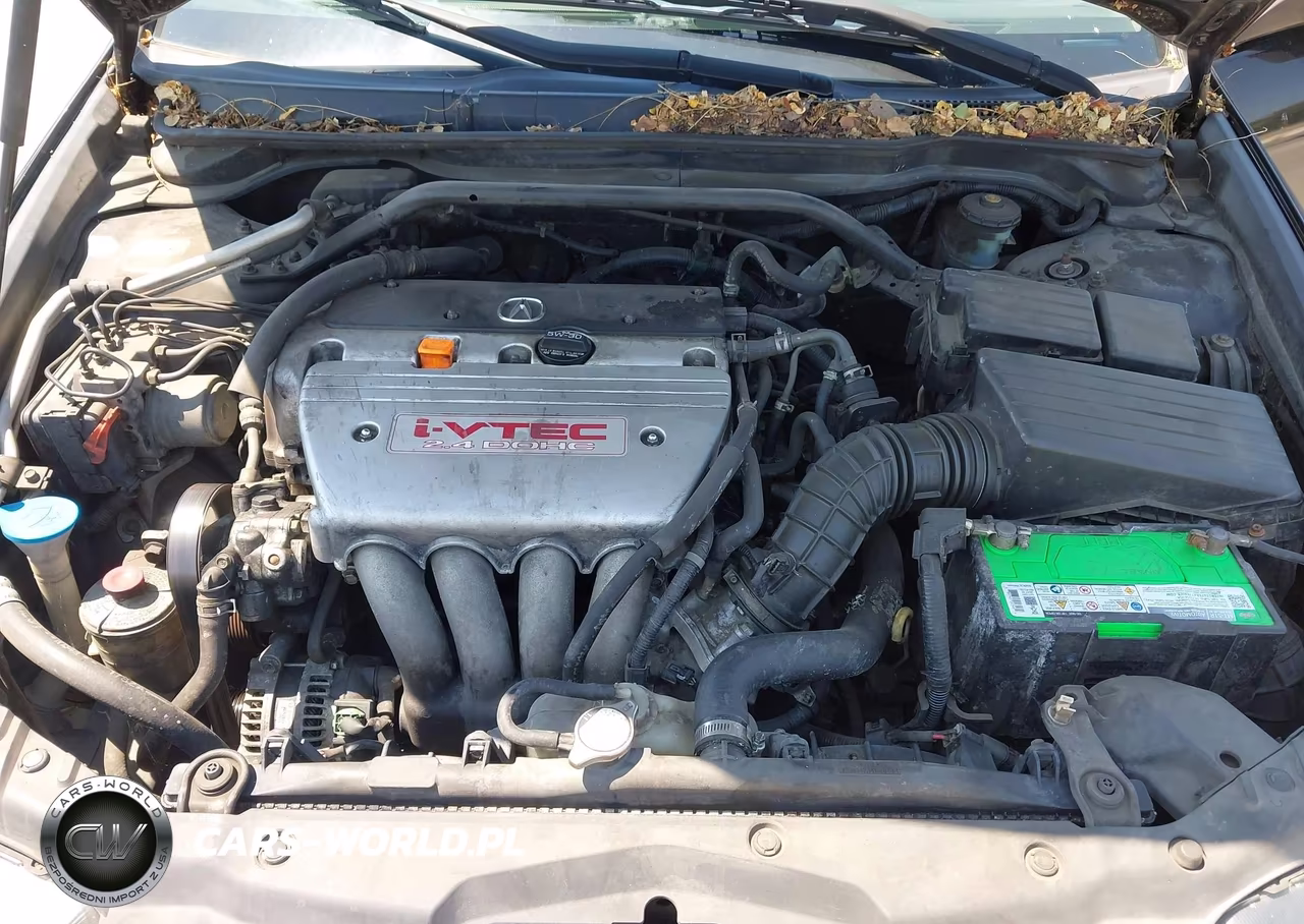2004 Acura Tsx VIN:JH4CL96804C000296 - 10