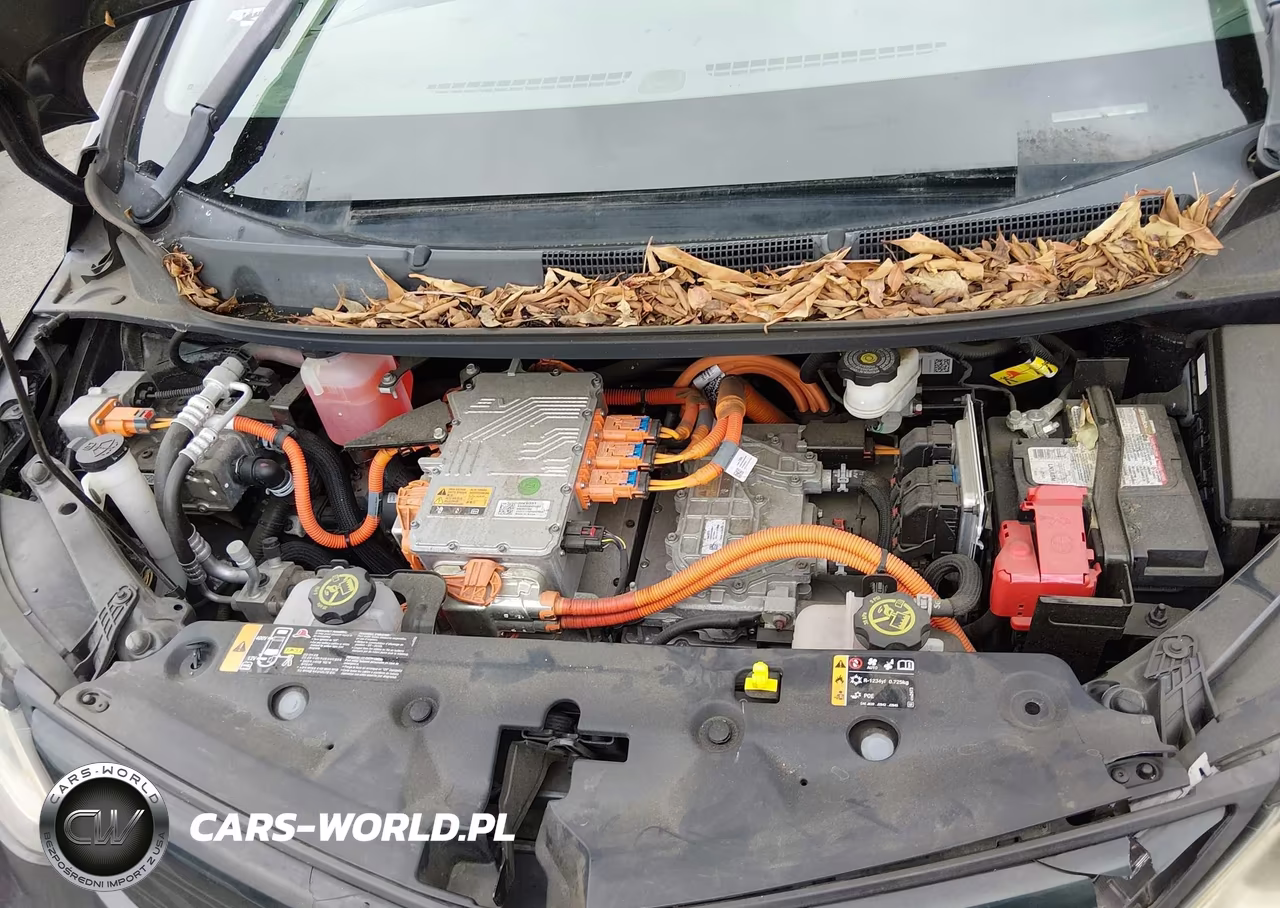 2017 Chevrolet Bolt Ev Lt VIN:1G1FW6S00H4181610 - 10