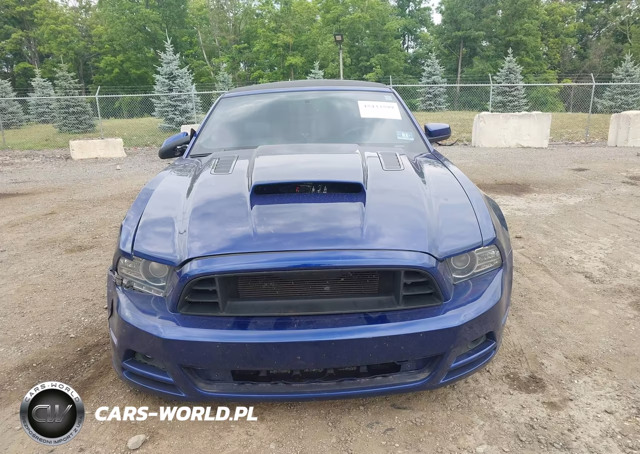 2014 Ford Mustang V6 VIN:1ZVBP8EM1E5247999 - 12