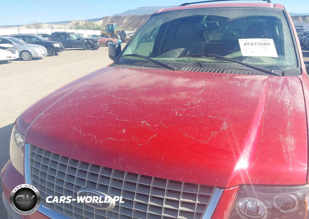 2003 Ford Expedition Eddie Bauer VIN:1FMFU18L13LB67016 - 6