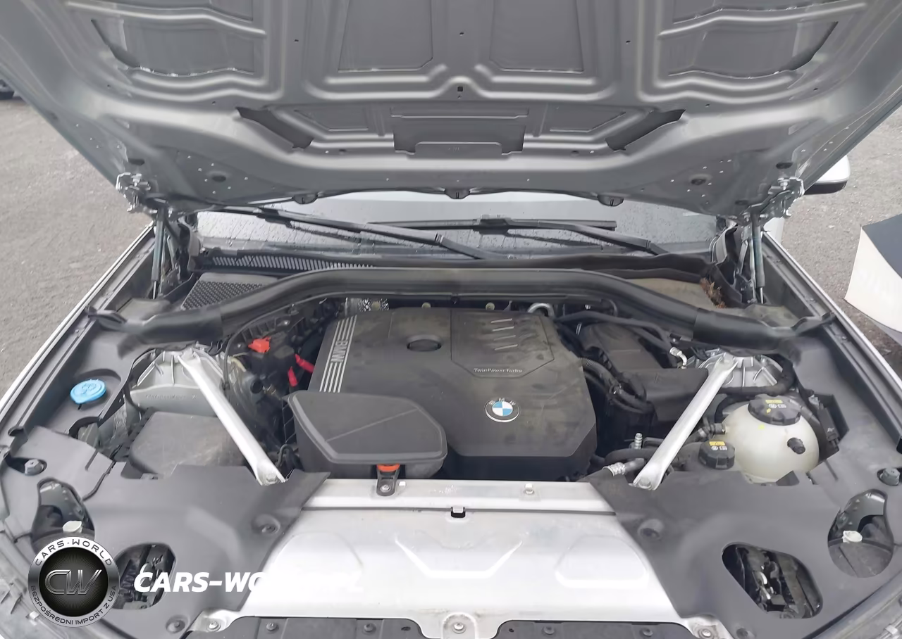 2021 BMW X3 xDrive30I VIN:5UXTY5C04M9H85639 - 10
