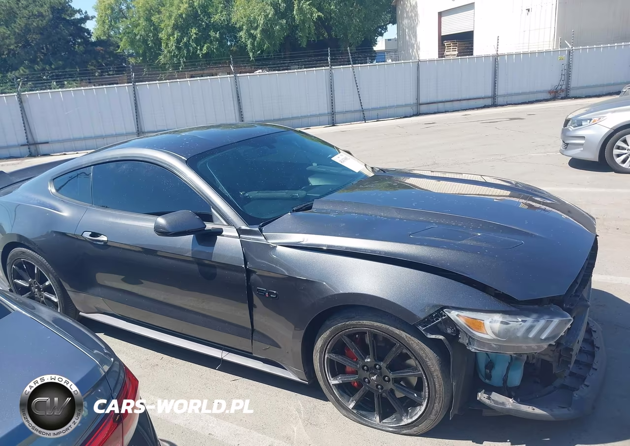 2016 Ford Mustang Gt-Gt Premium VIN:1FA6P8CF7G5328393 - 13