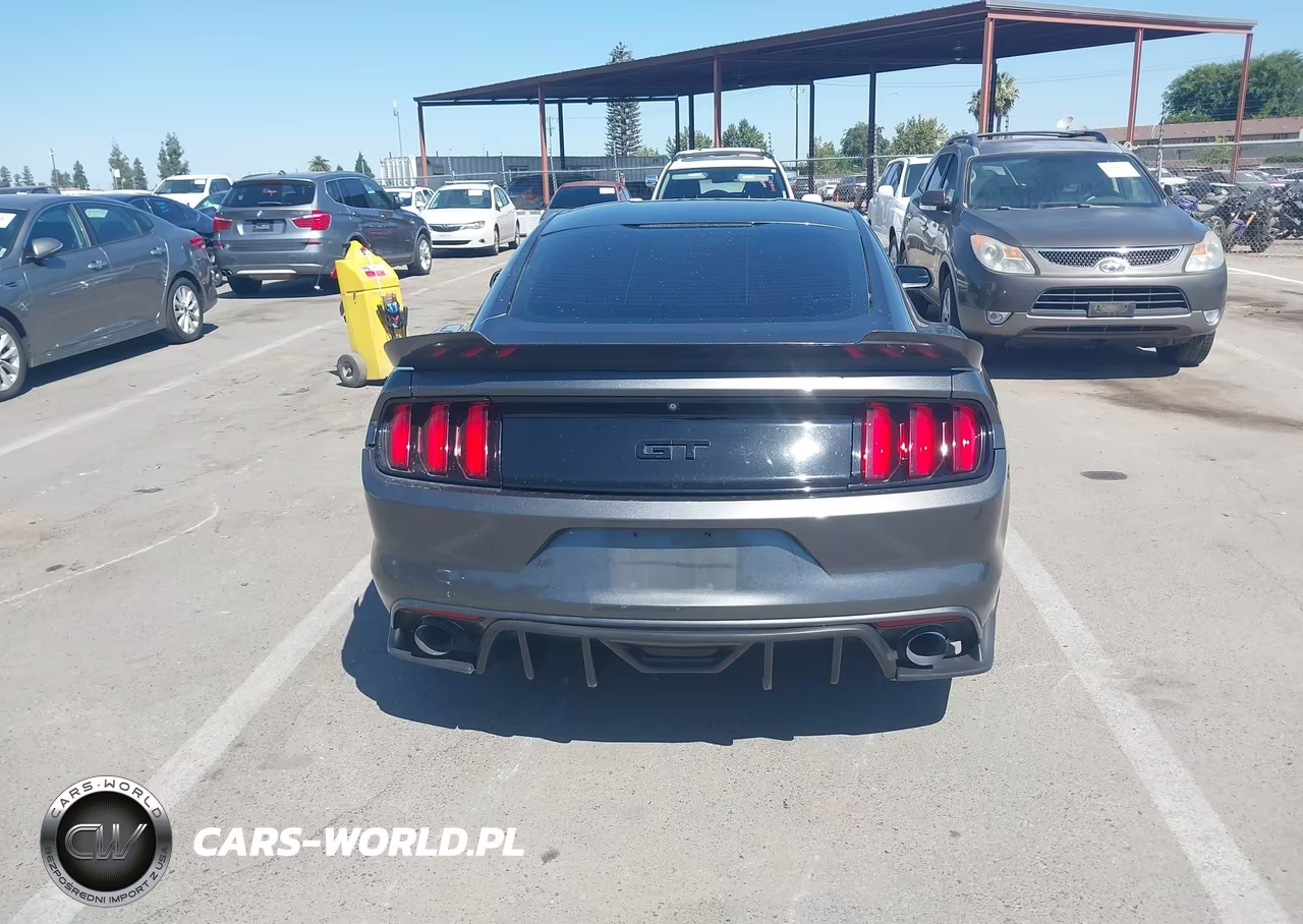 2016 Ford Mustang Gt-Gt Premium VIN:1FA6P8CF7G5328393 - 16