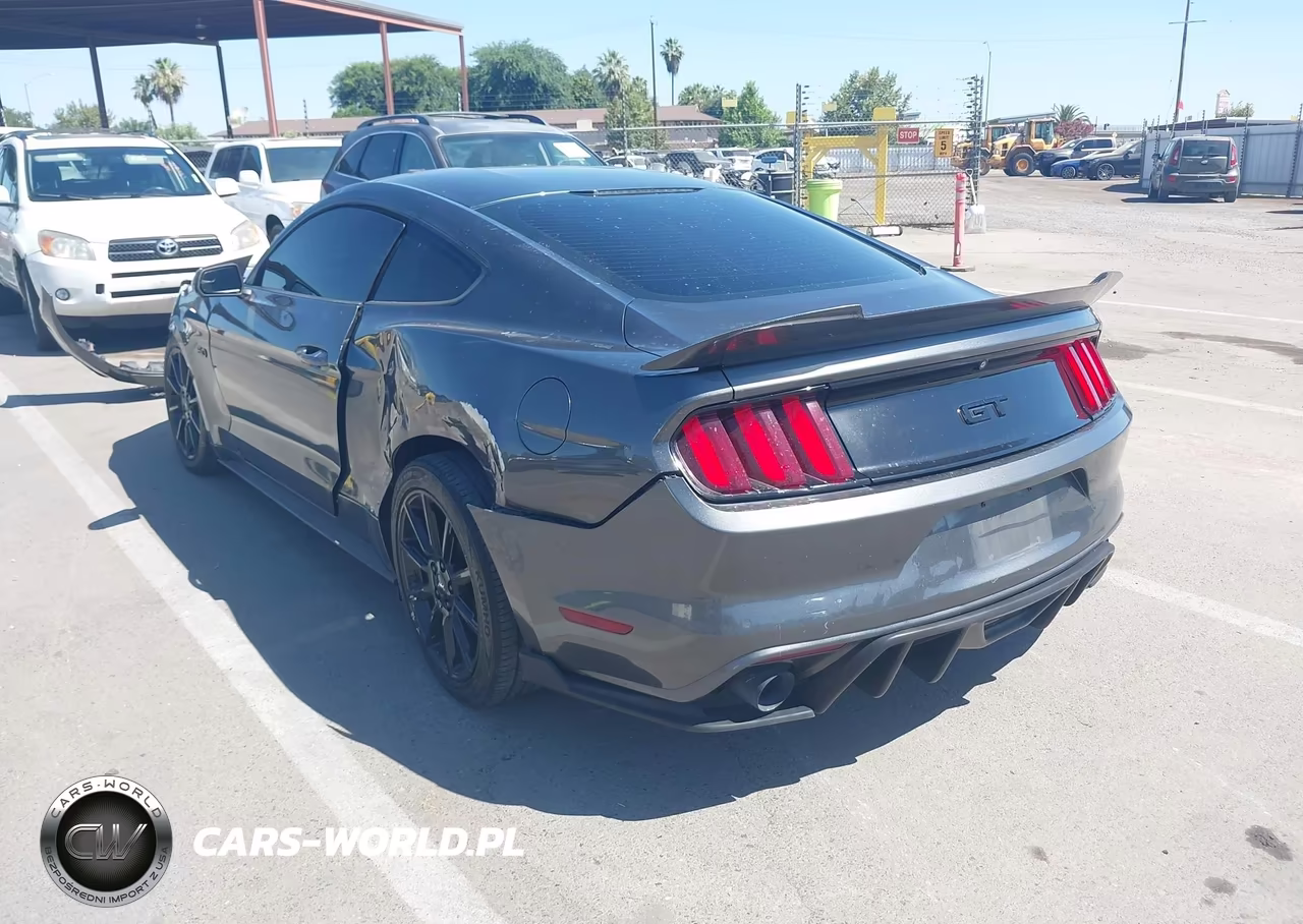 2016 Ford Mustang Gt-Gt Premium VIN:1FA6P8CF7G5328393 - 3