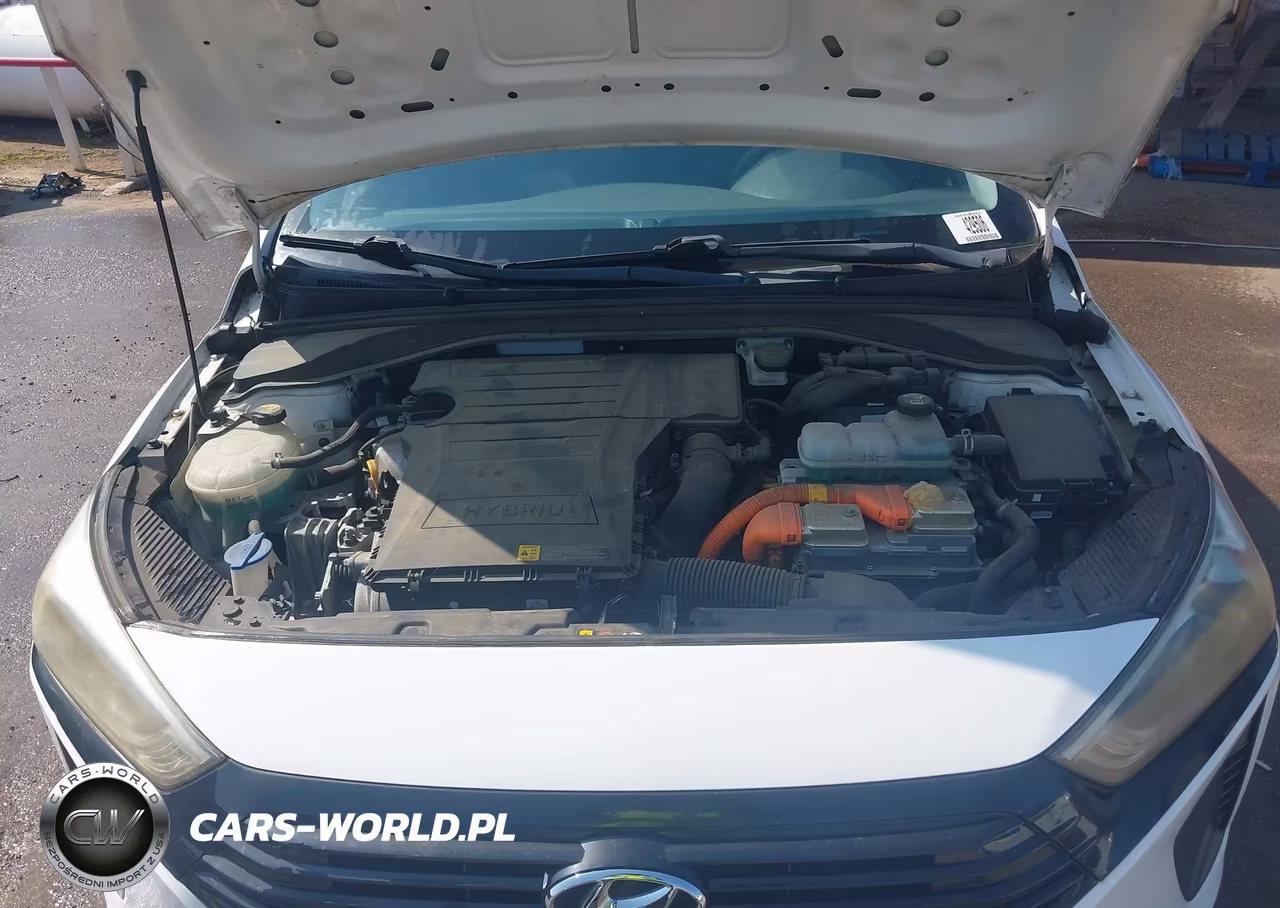 2019 Hyundai Ioniq Hybrid Blue VIN:KMHC65LC7KU107780 - 10