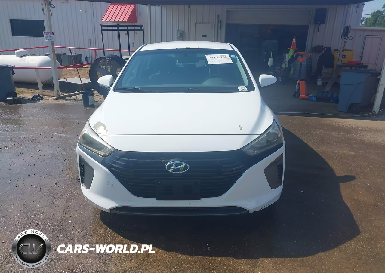 2019 Hyundai Ioniq Hybrid Blue VIN:KMHC65LC7KU107780 - 17