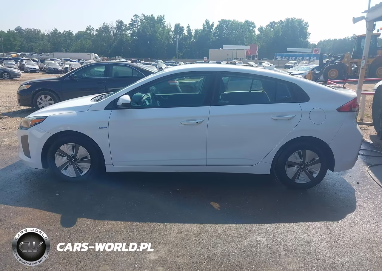 2019 Hyundai Ioniq Hybrid Blue VIN:KMHC65LC7KU107780 - 19