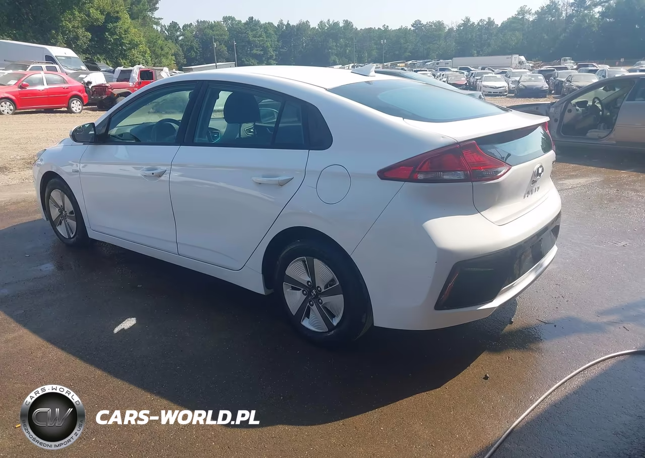 2019 Hyundai Ioniq Hybrid Blue VIN:KMHC65LC7KU107780 - 3