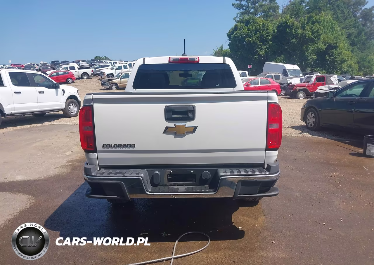2016 Chevrolet Colorado 2Wd Wt VIN:1GCGSBEA8G1239130 - 18