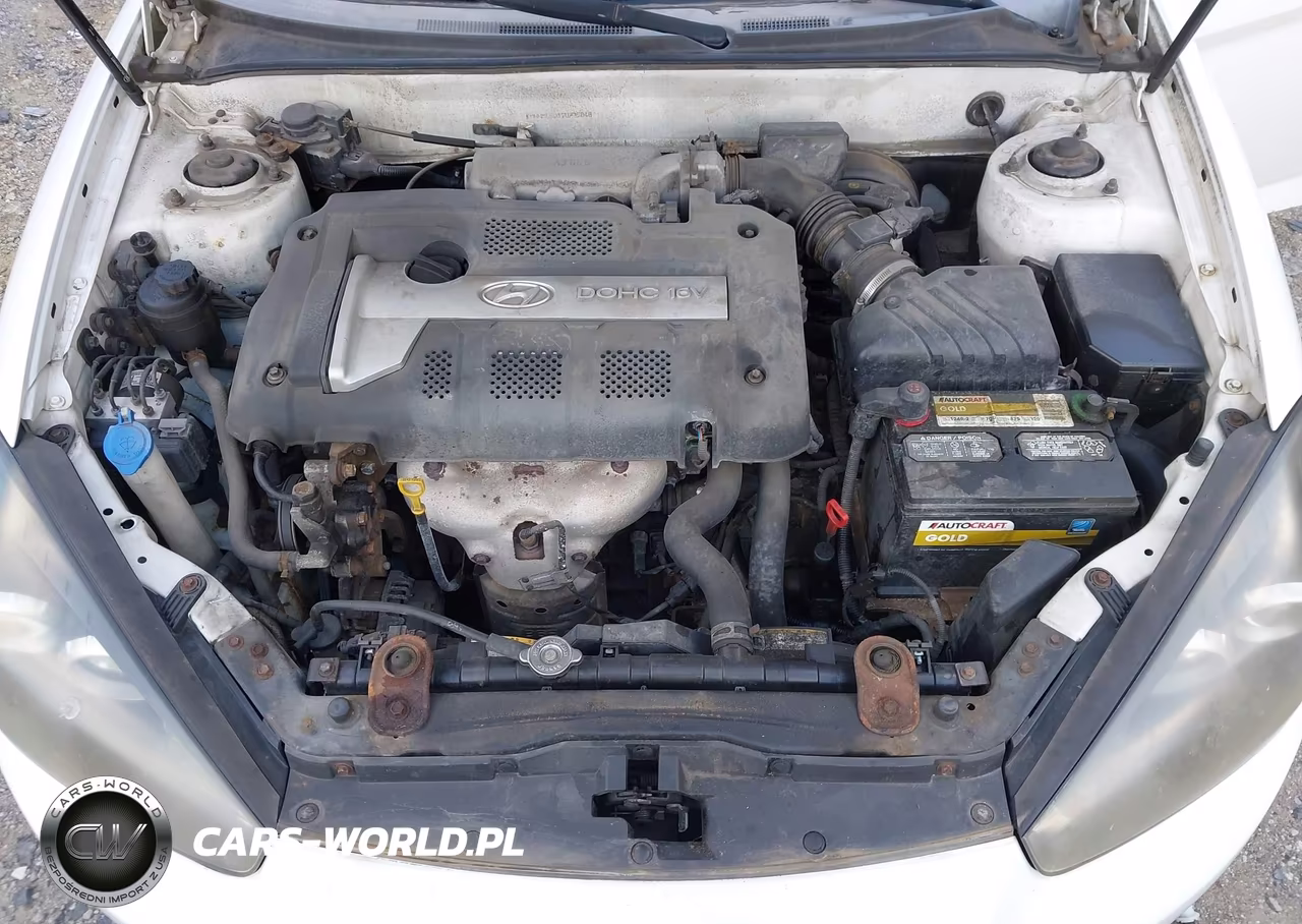 2007 Hyundai Tiburon Gs VIN:KMHHM66D17U235848 - 10