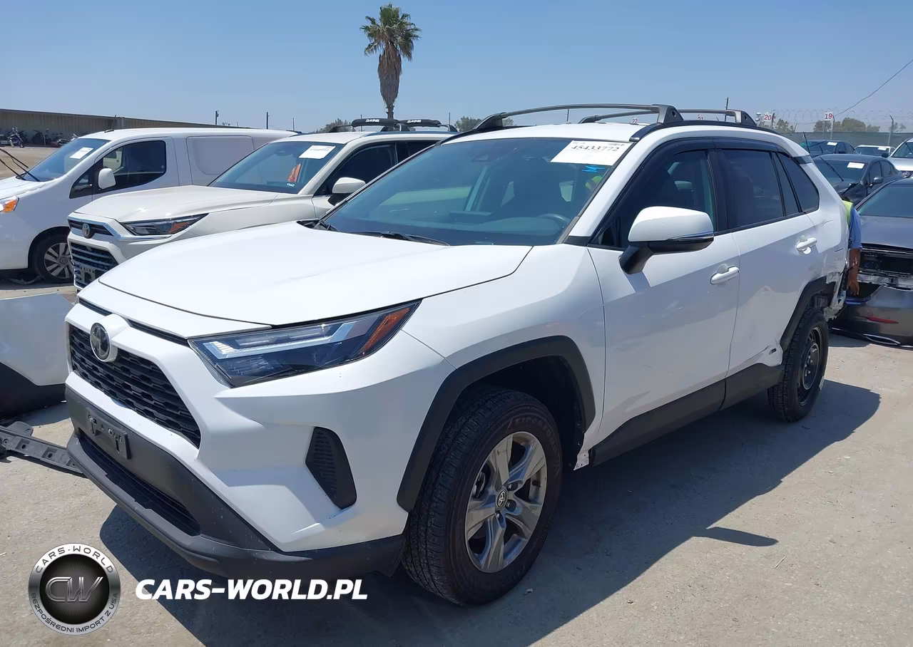 2025 Toyota Rav4 Hybrid Xle VIN:4T3RWRFV9SU178842 - 2
