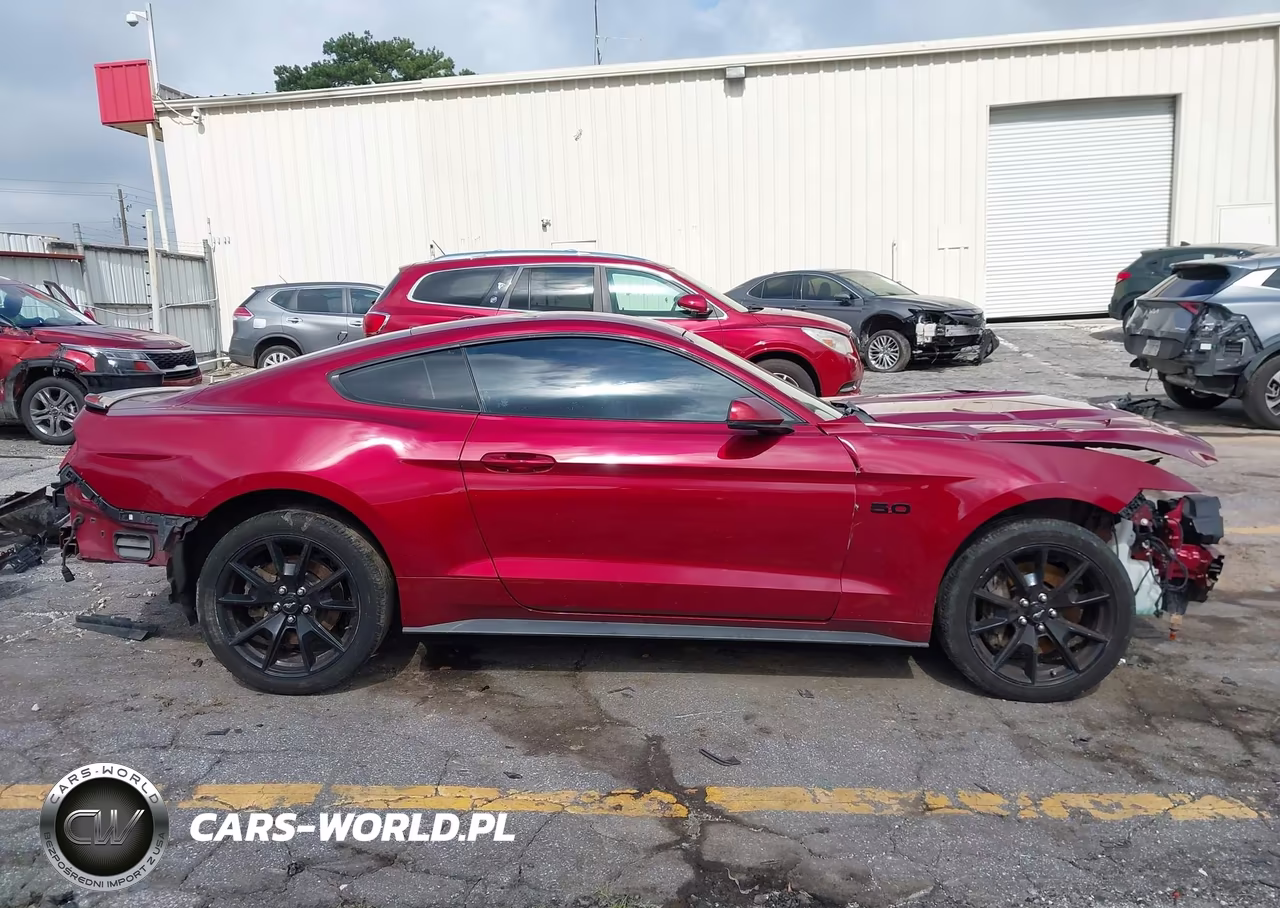 2017 Ford Mustang Gt-Gt Premium VIN:1FA6P8CF7H5244687 - 13