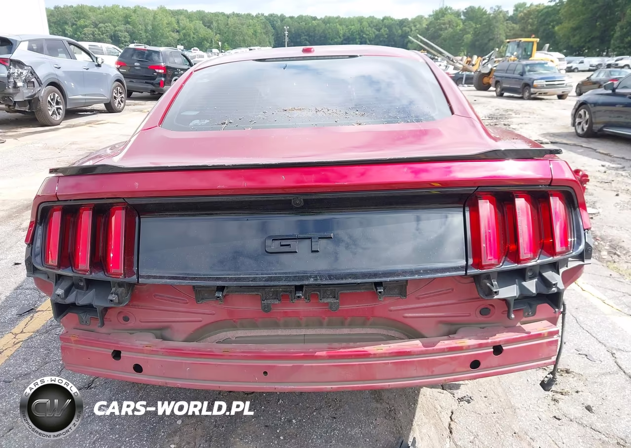 2017 Ford Mustang Gt-Gt Premium VIN:1FA6P8CF7H5244687 - 16
