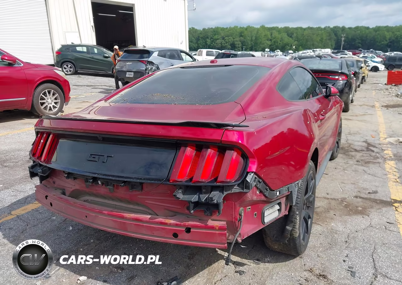 2017 Ford Mustang Gt-Gt Premium VIN:1FA6P8CF7H5244687 - 4