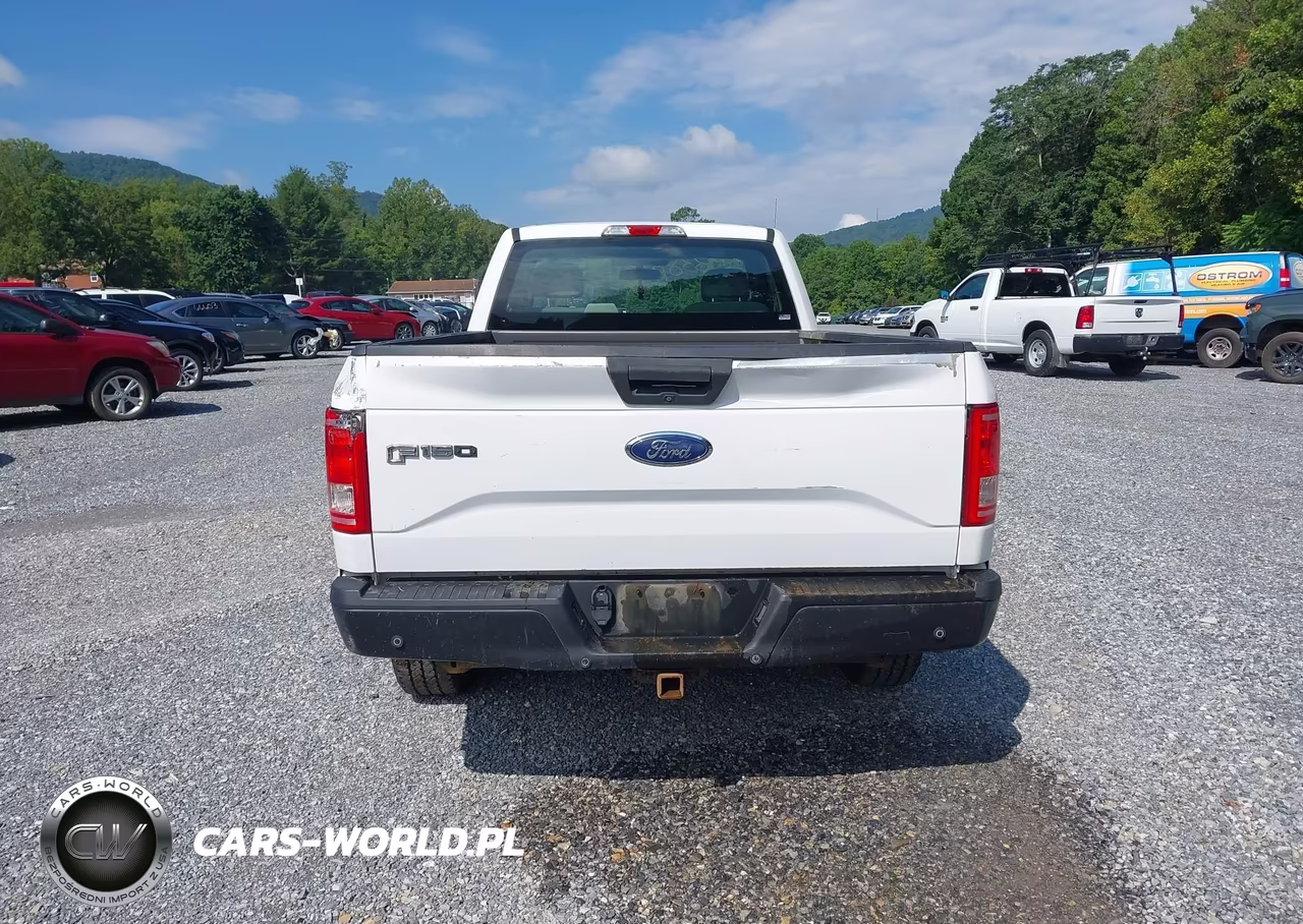 2016 Ford F-150 Xl-Xlt VIN:1FTNF1CG0GKE50233 - 17
