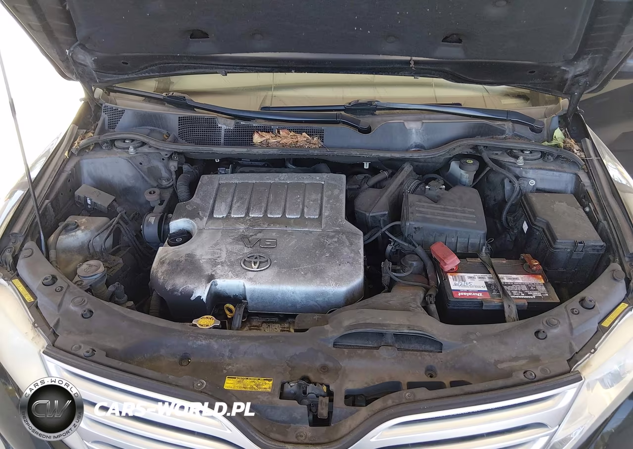 2010 Toyota Venza Base V6 VIN:4T3BK3BB8AU040293 - 10