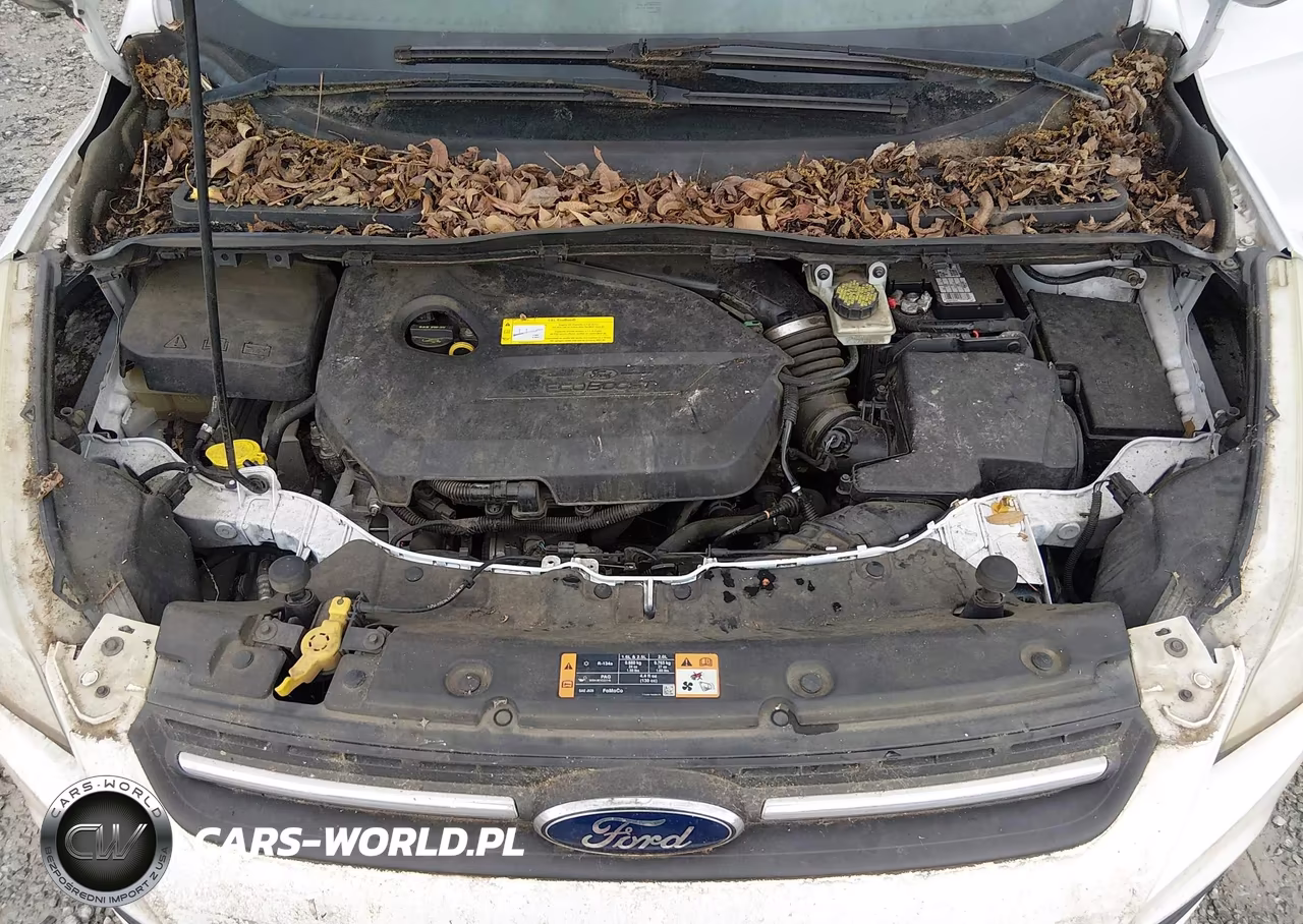 2016 Ford Escape Se VIN:1FMCU0GX0GUB56462 - 10