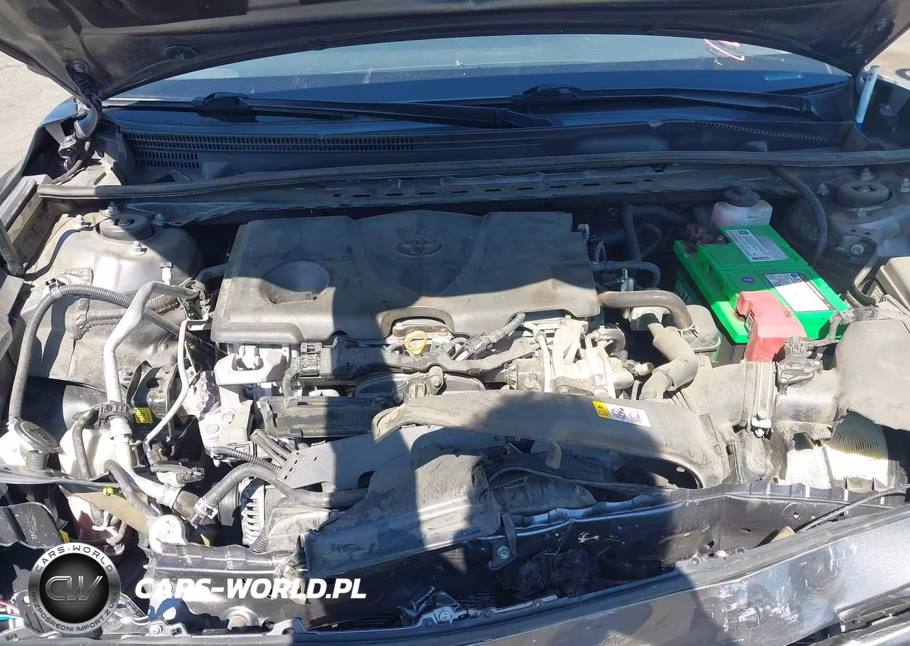 2019 Toyota Camry Se VIN:4T1B11HK1KU247746 - 10