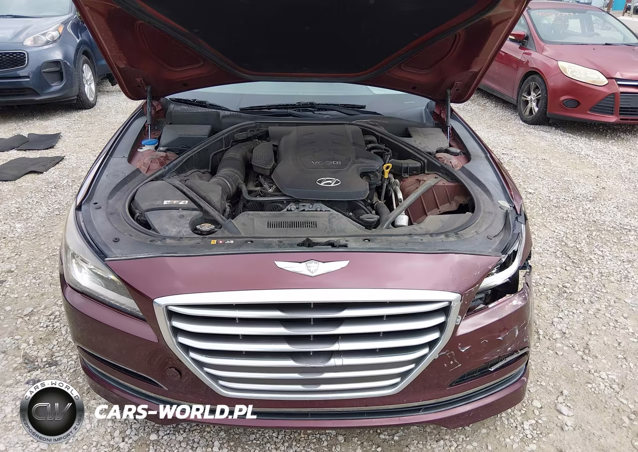 2016 Hyundai Genesis 3.8 VIN:KMHGN4JE7GU107613 - 10