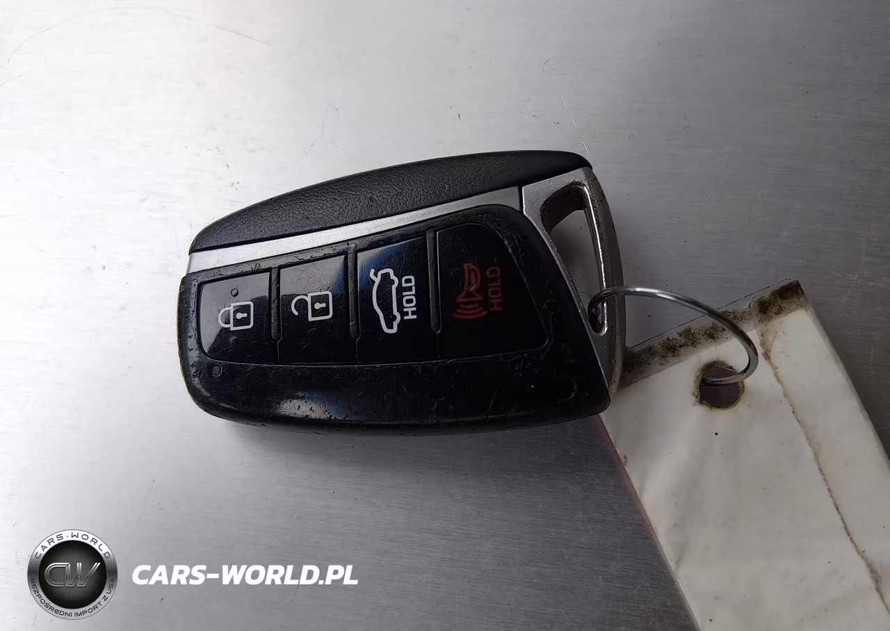 2016 Hyundai Genesis 3.8 VIN:KMHGN4JE7GU107613 - 11