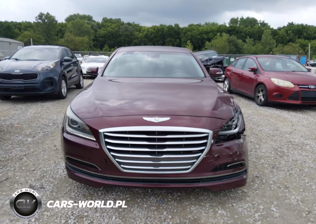2016 Hyundai Genesis 3.8 VIN:KMHGN4JE7GU107613 - 12