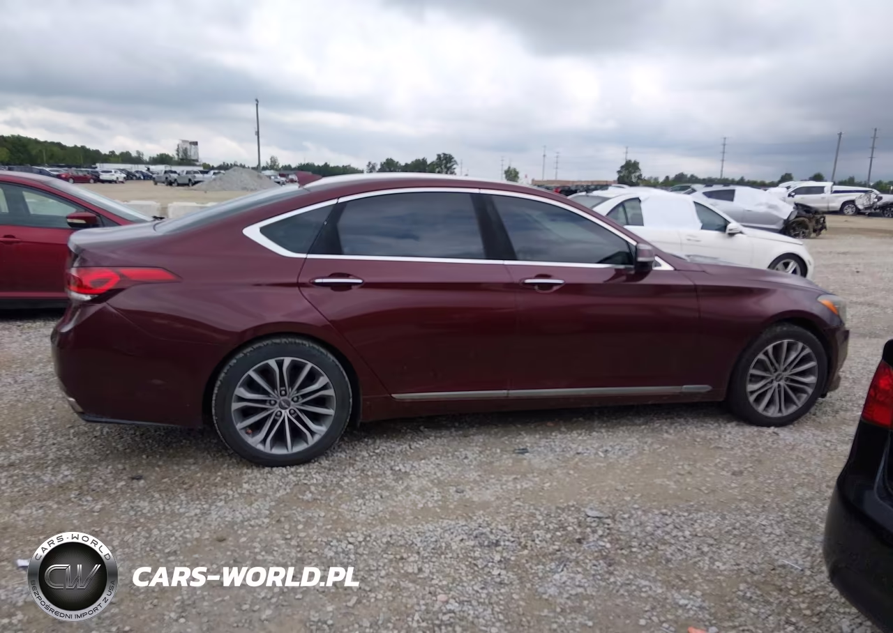 2016 Hyundai Genesis 3.8 VIN:KMHGN4JE7GU107613 - 13
