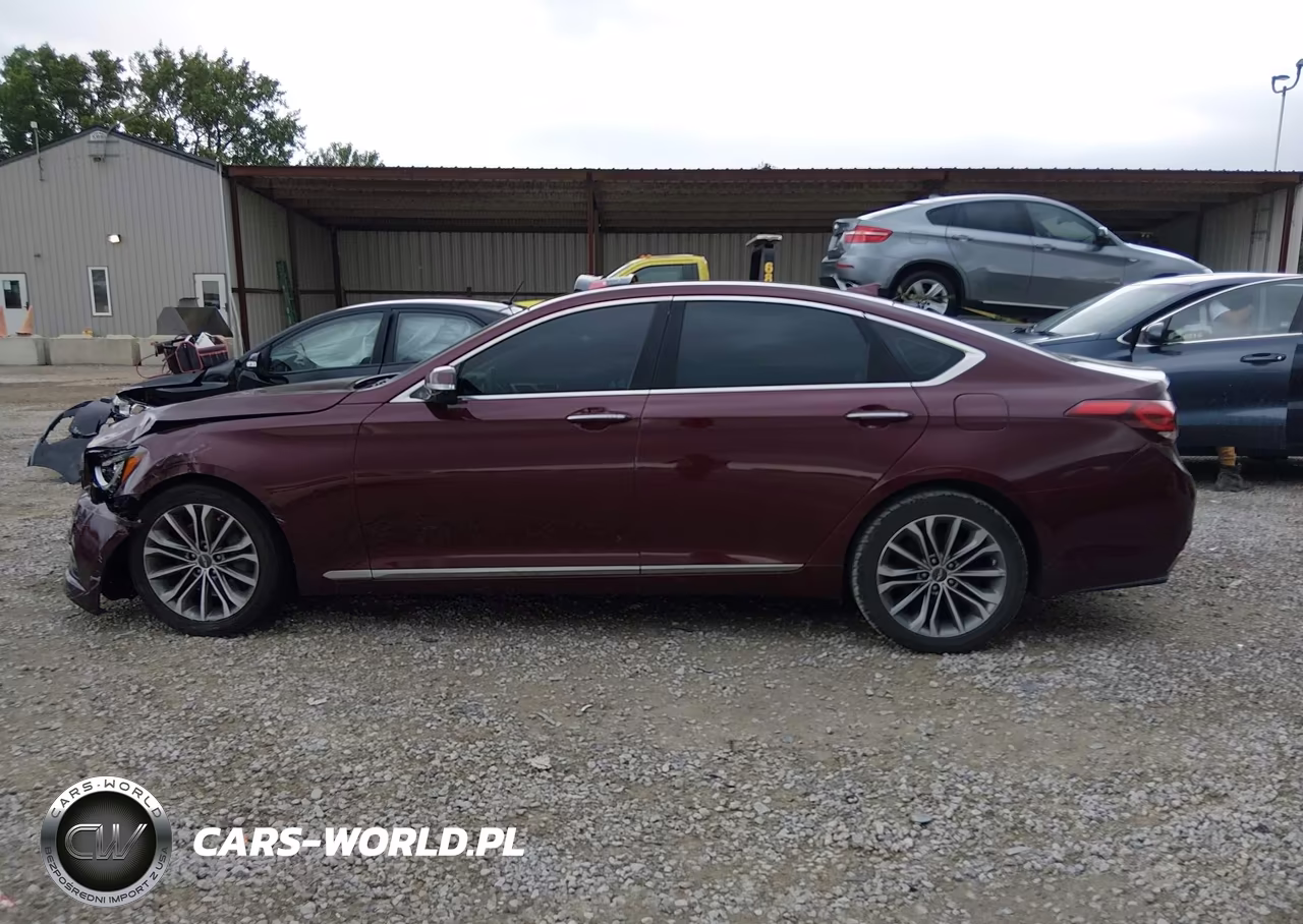 2016 Hyundai Genesis 3.8 VIN:KMHGN4JE7GU107613 - 14