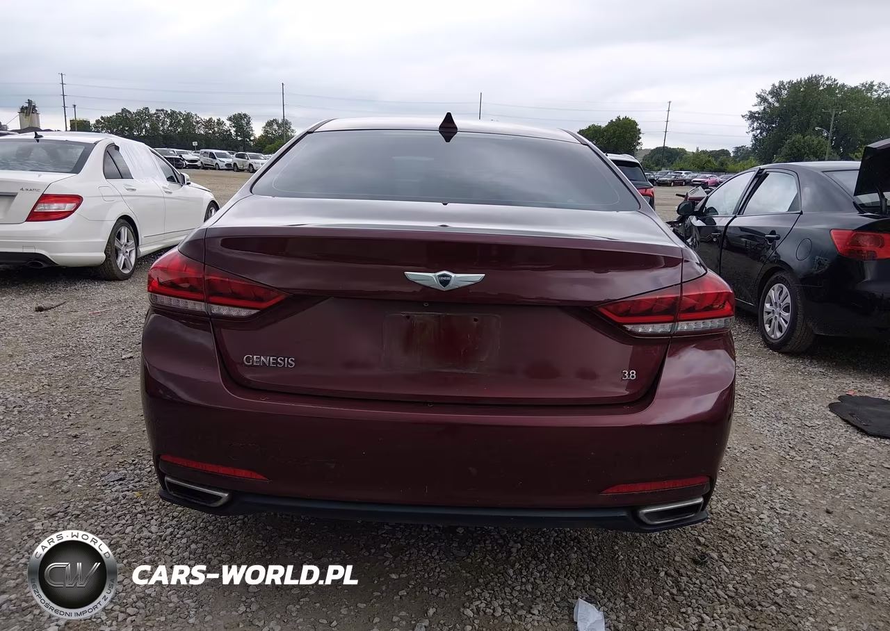 2016 Hyundai Genesis 3.8 VIN:KMHGN4JE7GU107613 - 16