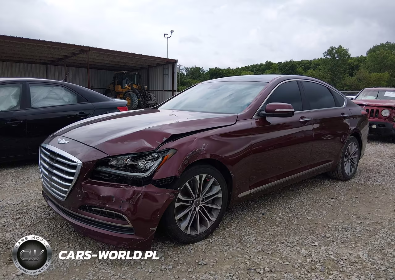 2016 Hyundai Genesis 3.8 VIN:KMHGN4JE7GU107613 - 2