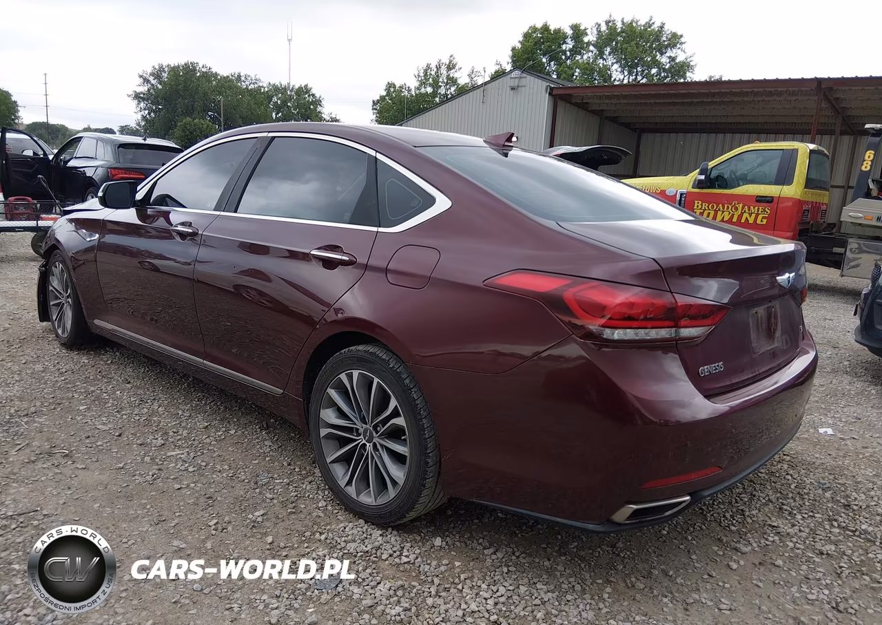 2016 Hyundai Genesis 3.8 VIN:KMHGN4JE7GU107613 - 3