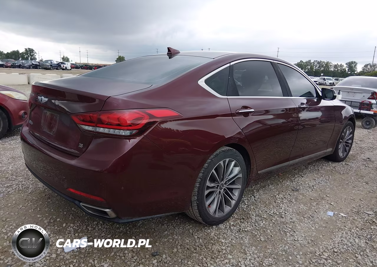 2016 Hyundai Genesis 3.8 VIN:KMHGN4JE7GU107613 - 4