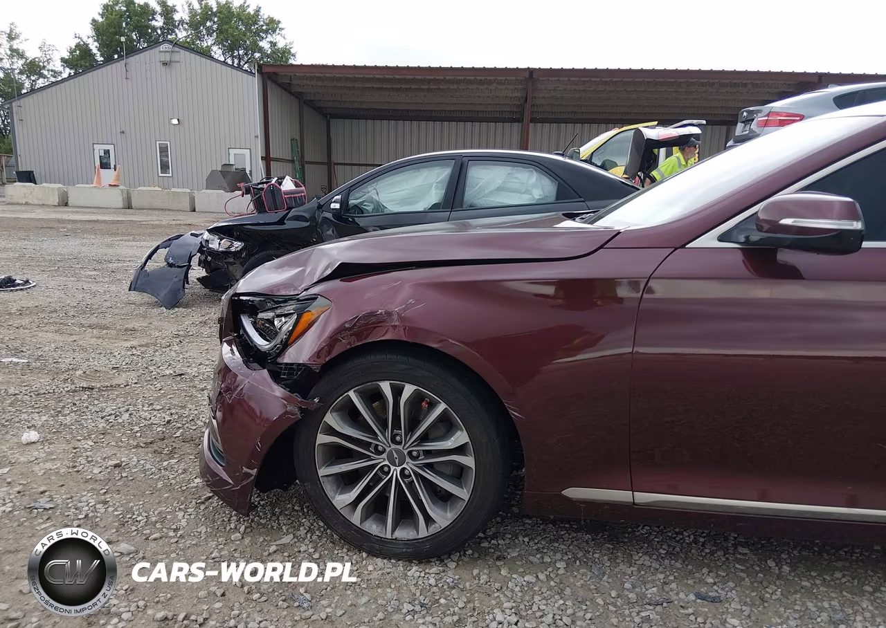 2016 Hyundai Genesis 3.8 VIN:KMHGN4JE7GU107613 - 6