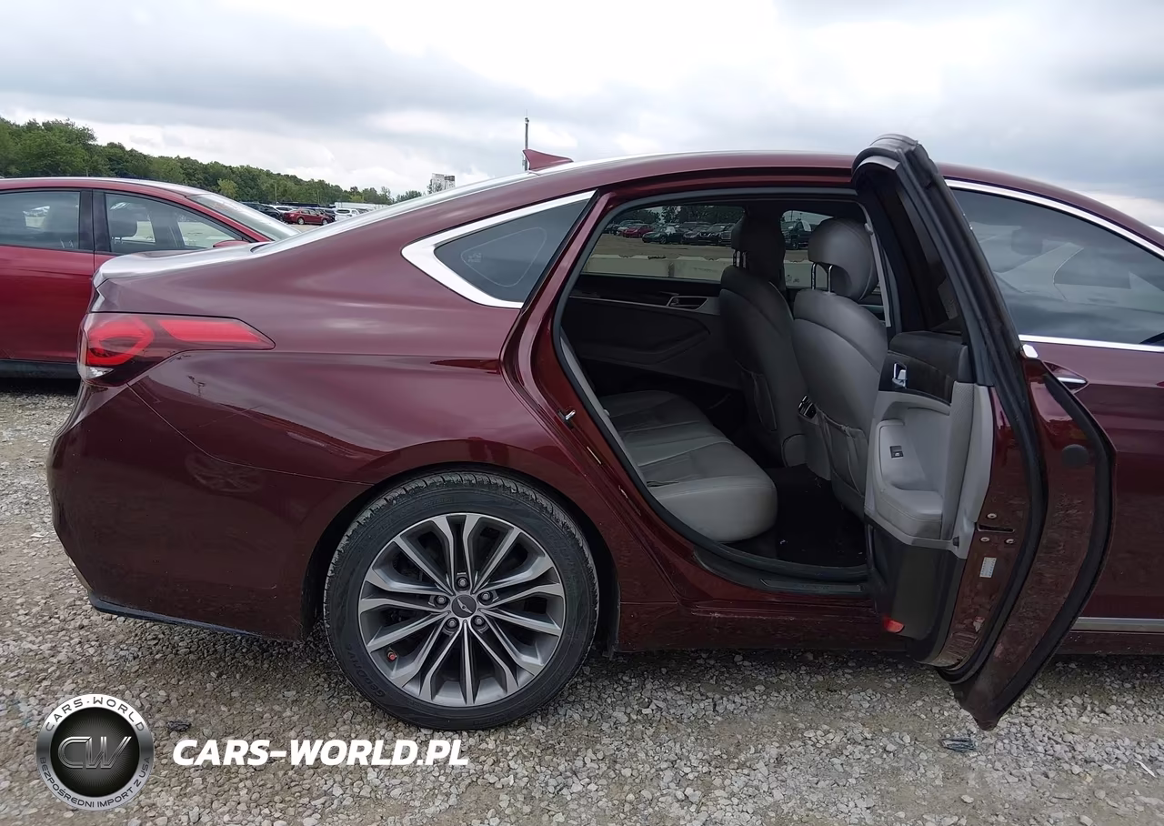 2016 Hyundai Genesis 3.8 VIN:KMHGN4JE7GU107613 - 8