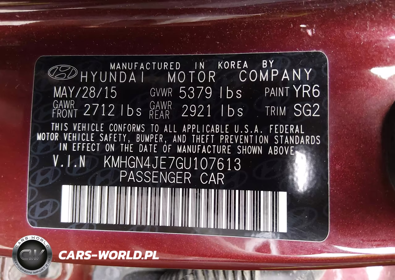 2016 Hyundai Genesis 3.8 VIN:KMHGN4JE7GU107613 - 9