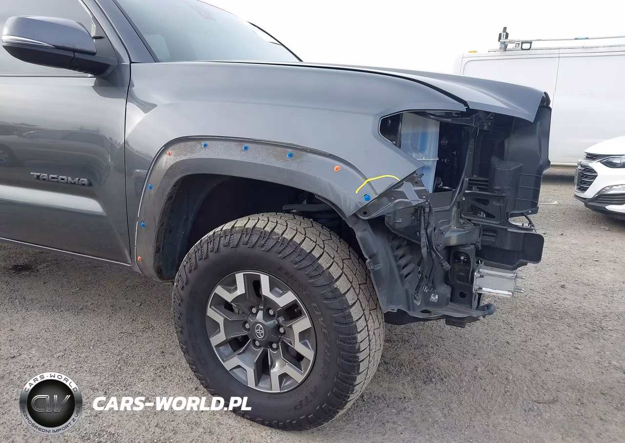 2021 Toyota Tacoma Trd Off-Road VIN:3TMCZ5AN1MM430780 - 20