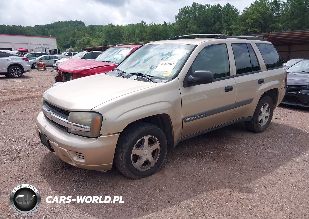 2004 Chevrolet Trailblazer Ls VIN:1GNDS13S142370096 - 2