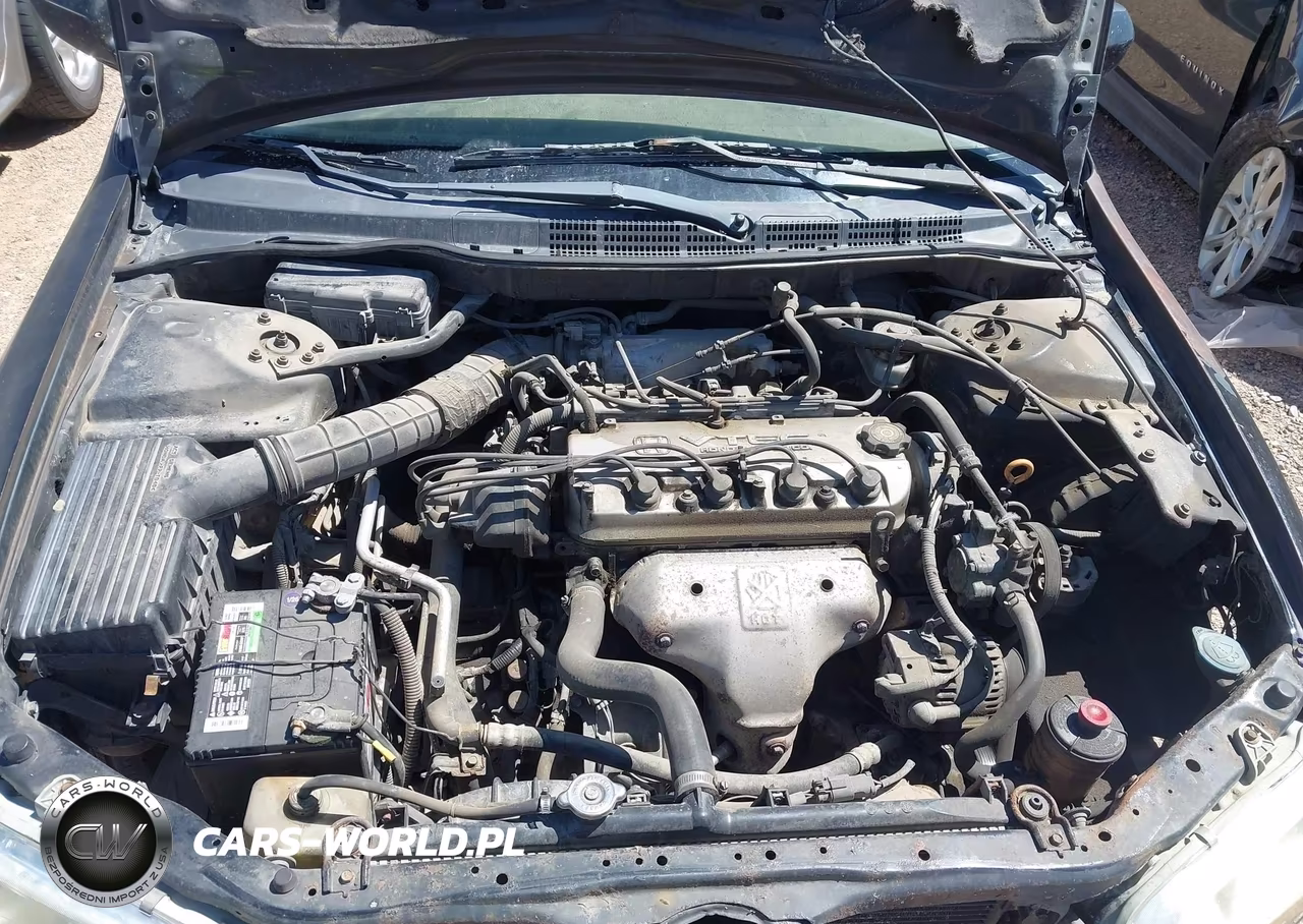 1999 Honda Accord Lx VIN:1HGCG5647XA031042 - 10