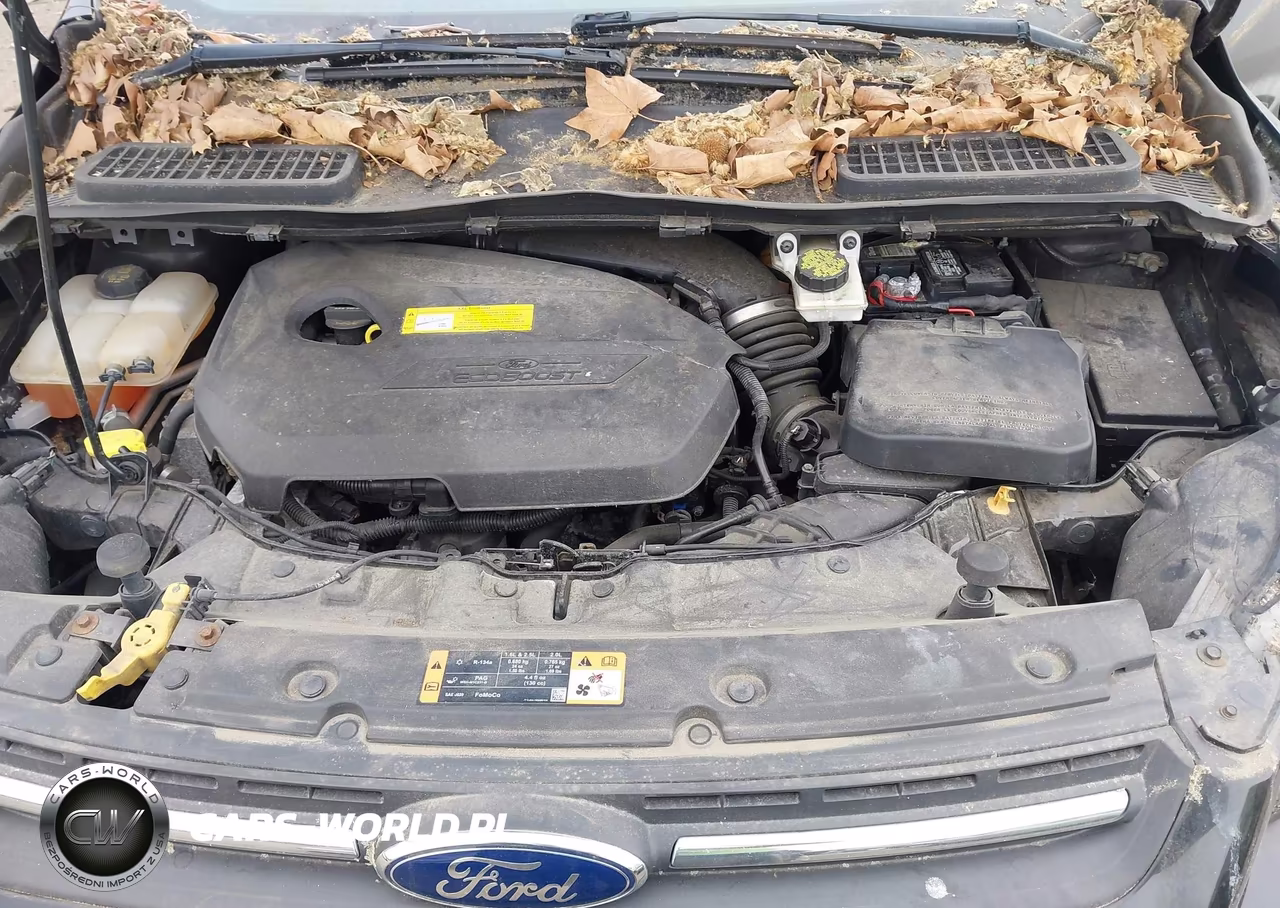2015 Ford Escape Se VIN:1FMCU9GX5FUB32175 - 10
