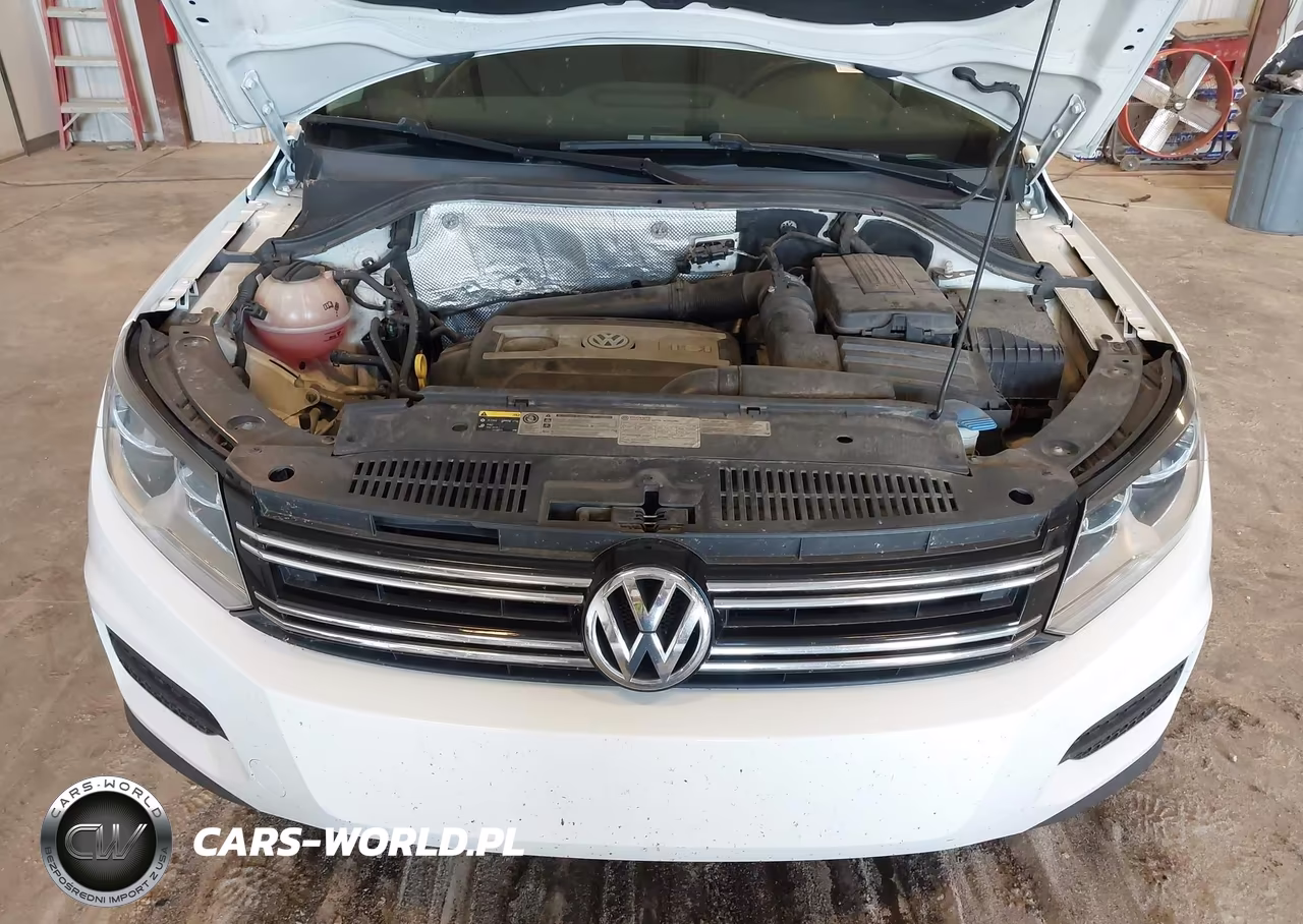 2015 Volkswagen Tiguan S VIN:WVGAV7AX9FW604299 - 10