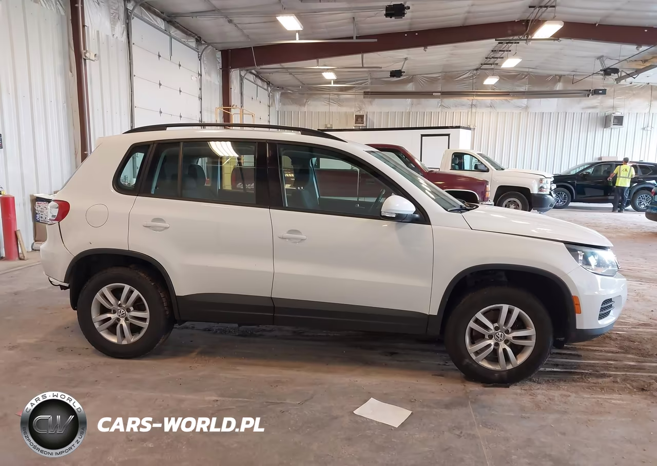 2015 Volkswagen Tiguan S VIN:WVGAV7AX9FW604299 - 13