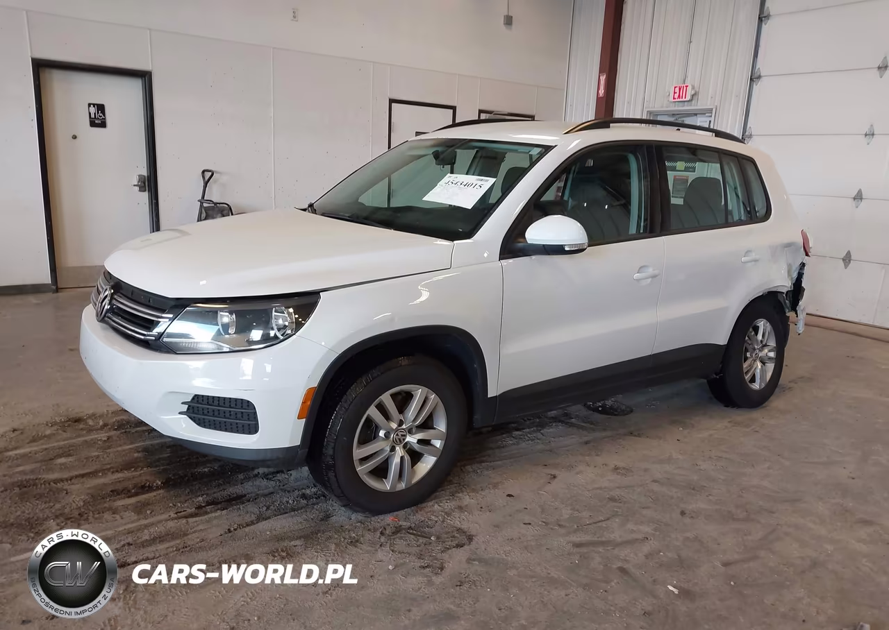 2015 Volkswagen Tiguan S VIN:WVGAV7AX9FW604299 - 2