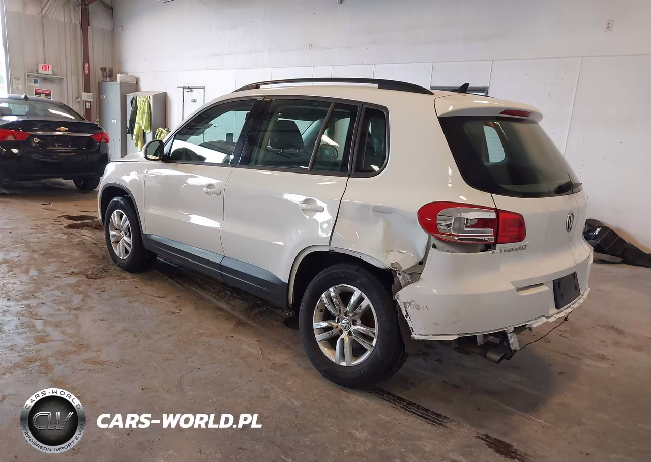 2015 Volkswagen Tiguan S VIN:WVGAV7AX9FW604299 - 3