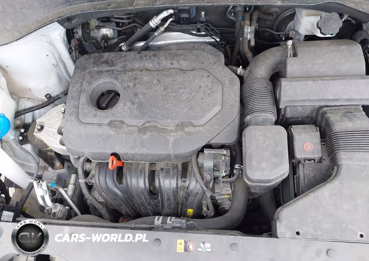 2017 Kia Sorento 2.4L Lx VIN:5XYPGDA34HG269201 - 10