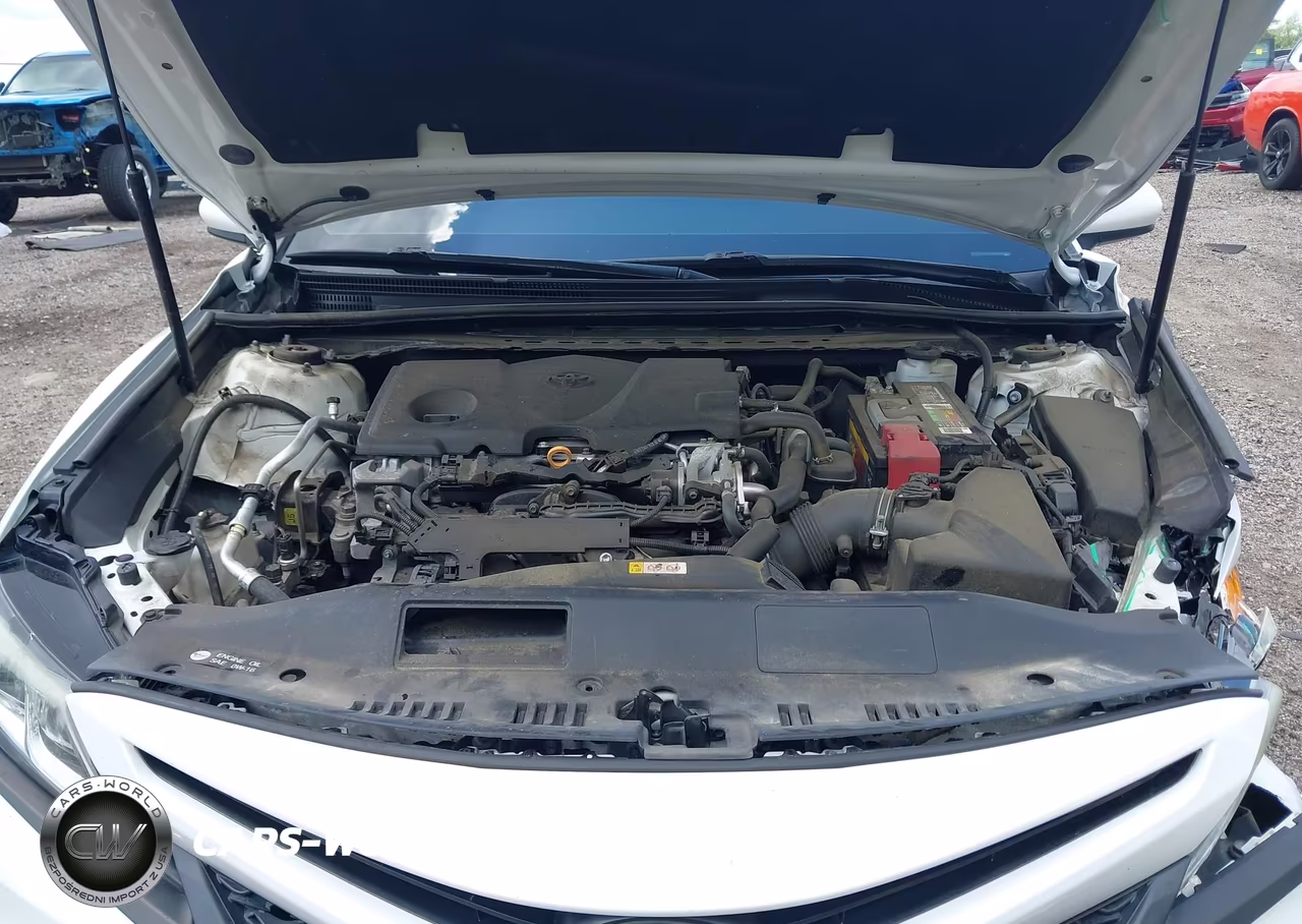 2019 Toyota Camry Se VIN:4T1B11HK7KU755882 - 10