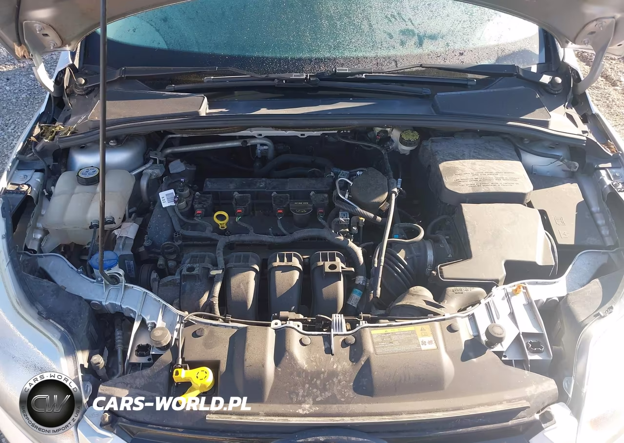 2012 Ford Focus Sel VIN:1FAHP3M22CL479896 - 10
